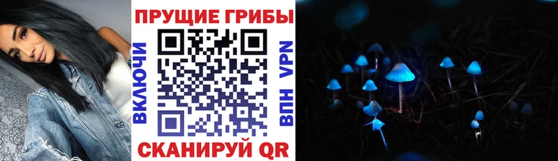 Псилоцибиновые грибы Magic Shrooms  как найти закладки  Крым 